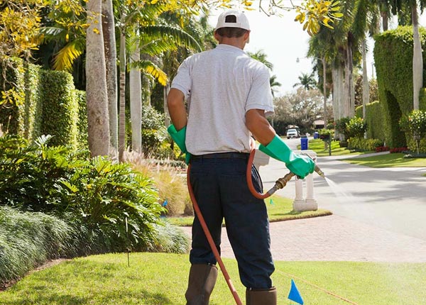 About Roscoe NY Pest Control